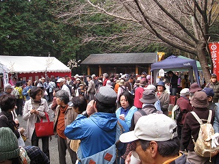 ayu2010-04.jpg