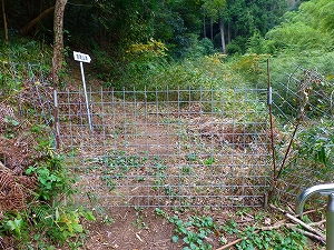 P1030793.jpg