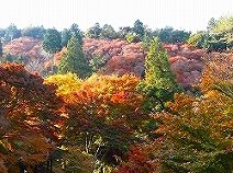 ayu121125-18.jpg