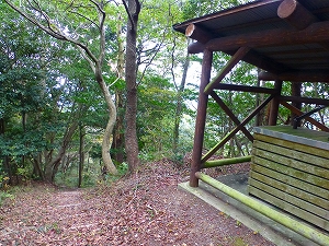 P1030805.jpg
