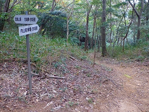 P1030794.jpg