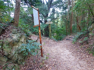 P1030800.jpg