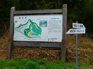 P1030791.jpg