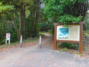 P1030795.jpg